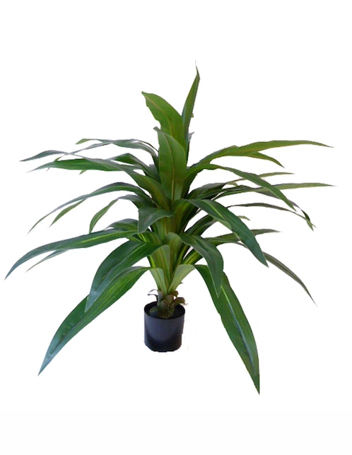Planta 1