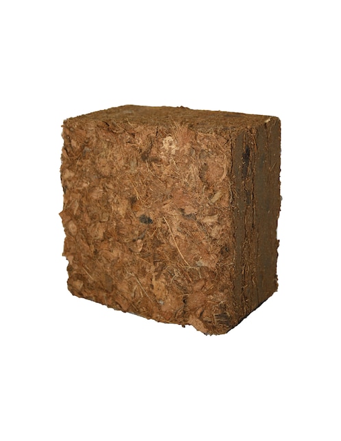 Maceta de plástico 1