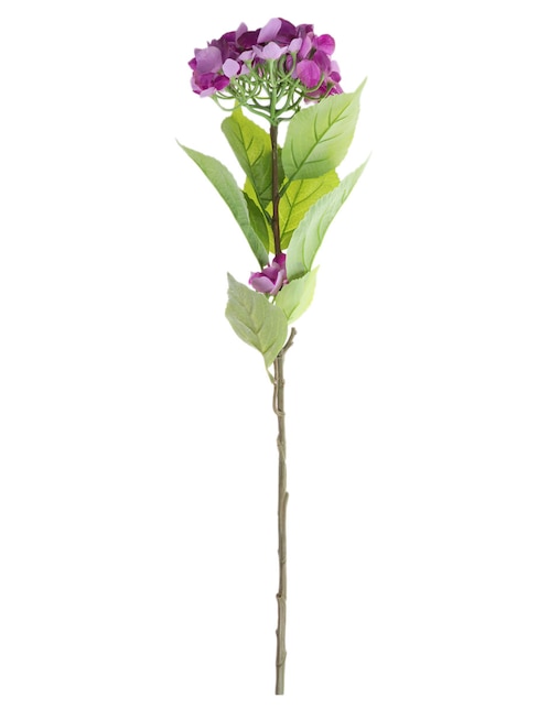 HORTENSIA, 1 M, LILA