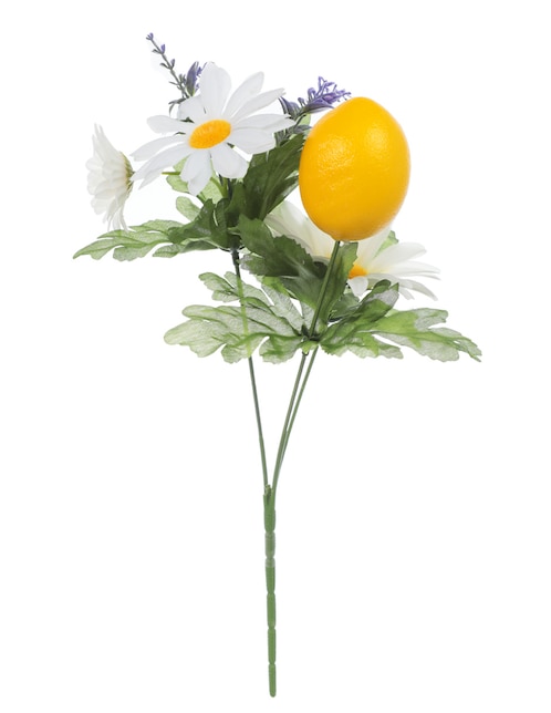 Ramo de daisy