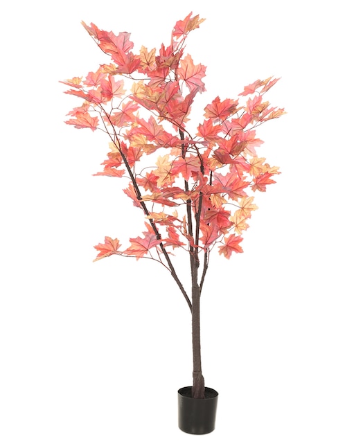 Árbol 1