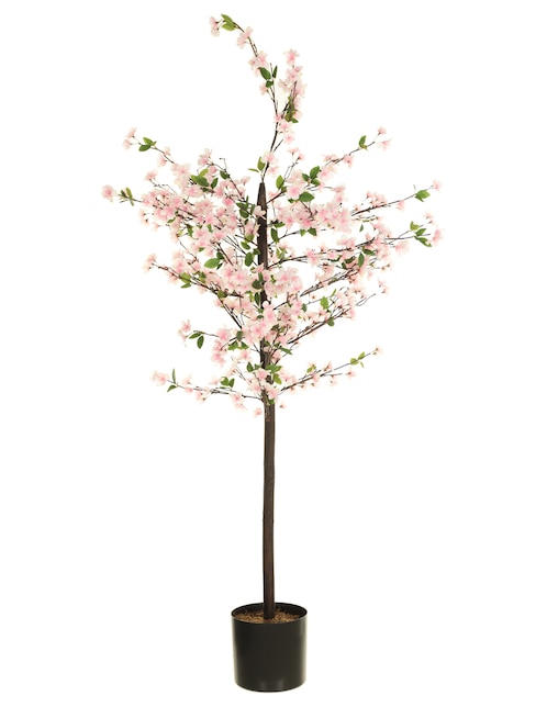 Árbol 1