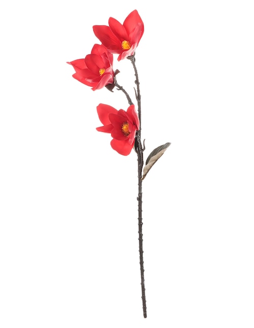 Magnolias 1