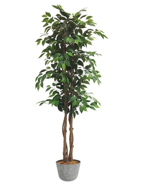 Ficus artificial Artego