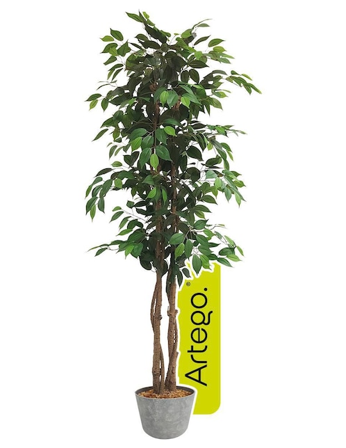 Ficus artificial con maceta 1