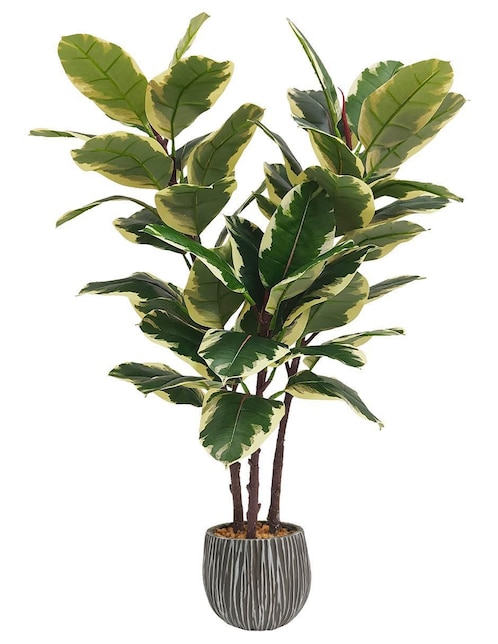 Ficus artificial 1
