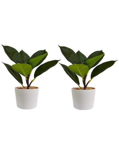 Ficus artificial Artego
