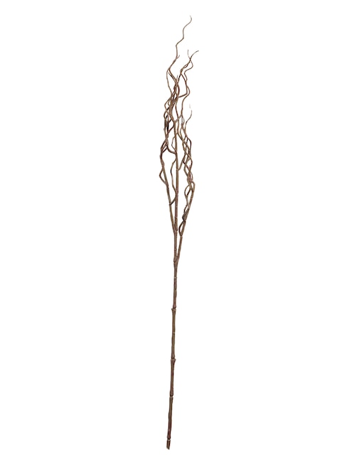 Vara decorativa Trends