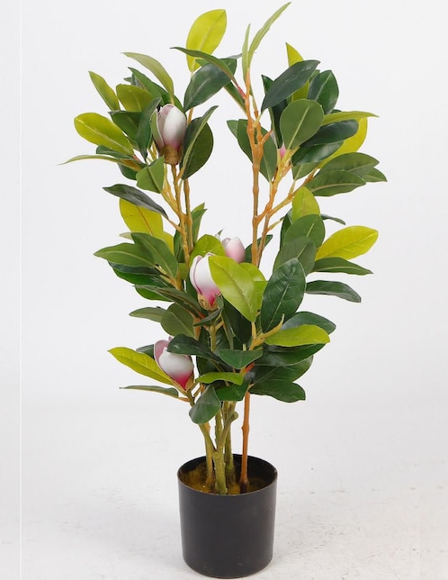 Magnolia artificial Sochic
