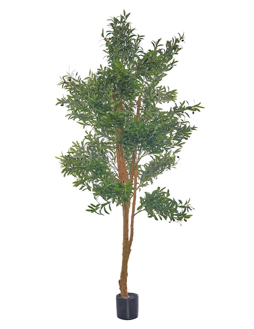 Árbol