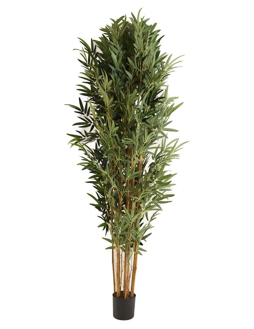 Árbol 1