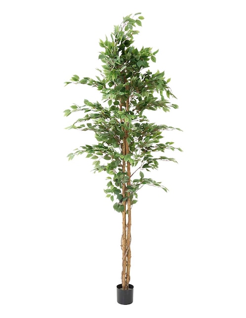 Árbol 1