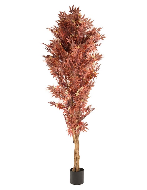 Árbol 1