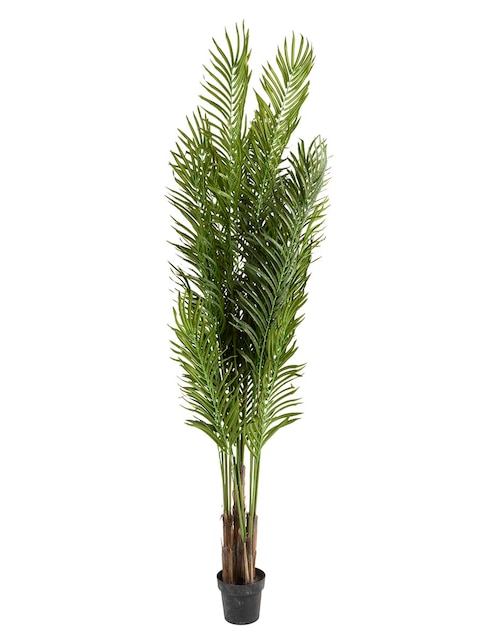 Árbol 1