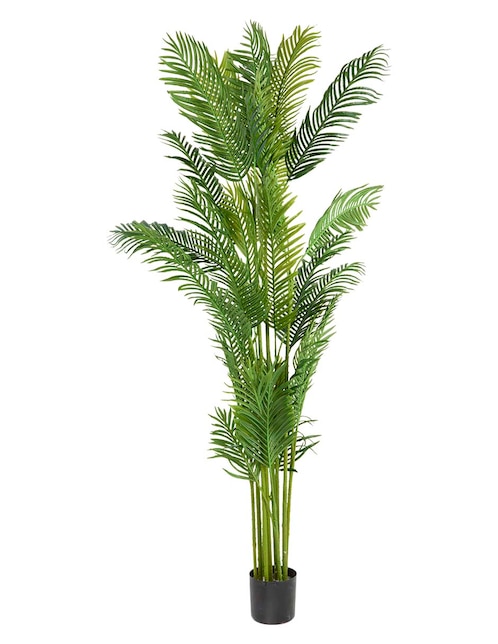 Árbol 1