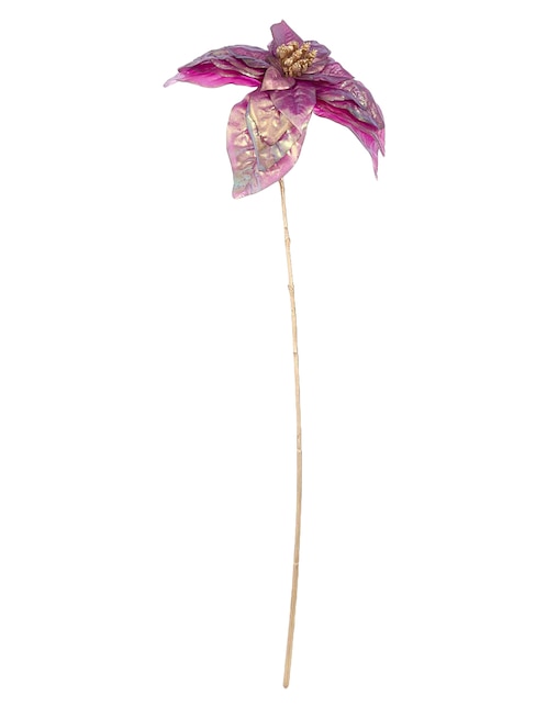 NOCHEBUENA, 63 CM, MORADO