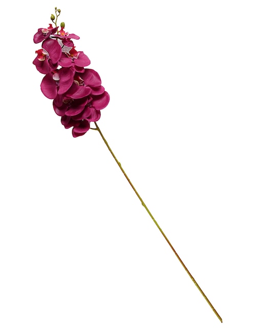 Vara de orquídea 1