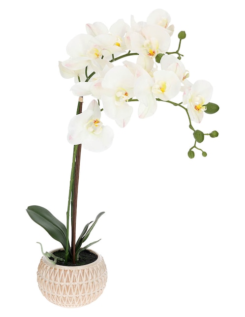 Preelaborado de orquídea 1