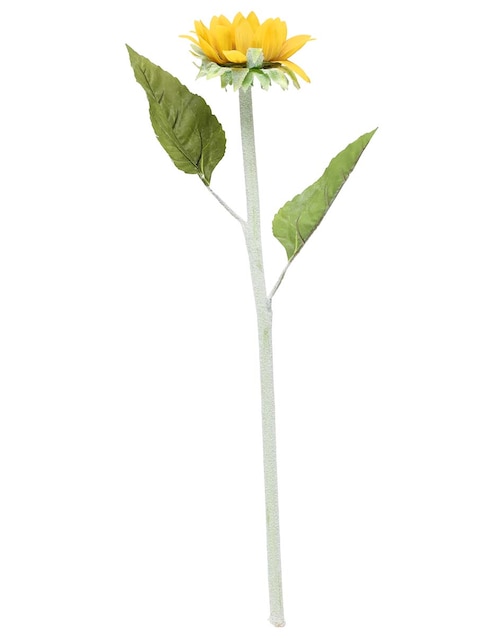 Girasol 1