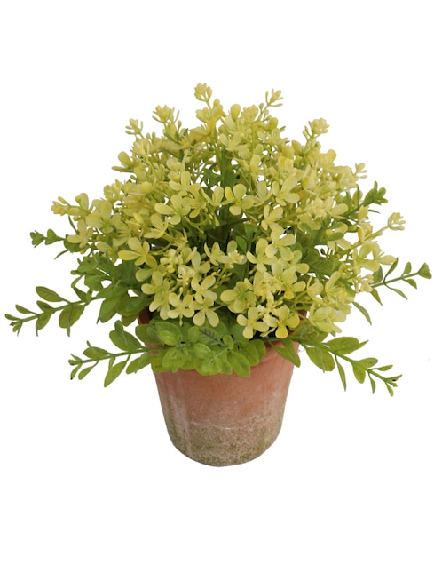 Preelaborado de flores mixtas 1