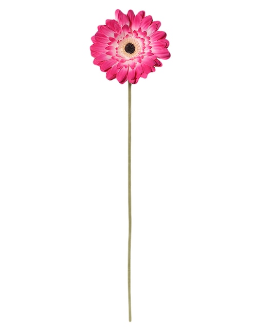 Flor de gerbera 1