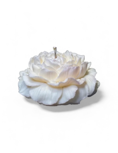 Kit de vela decorativa Lemich souvenir peonia 20 piezas aroma galleta