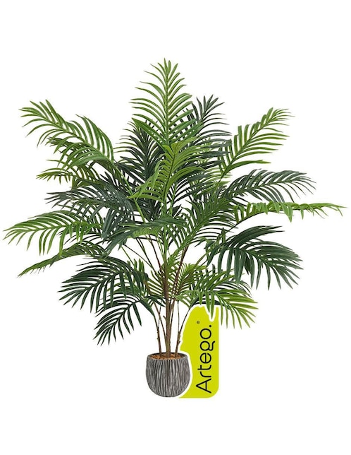 Árbol de palmera Artego palmera Hawaii