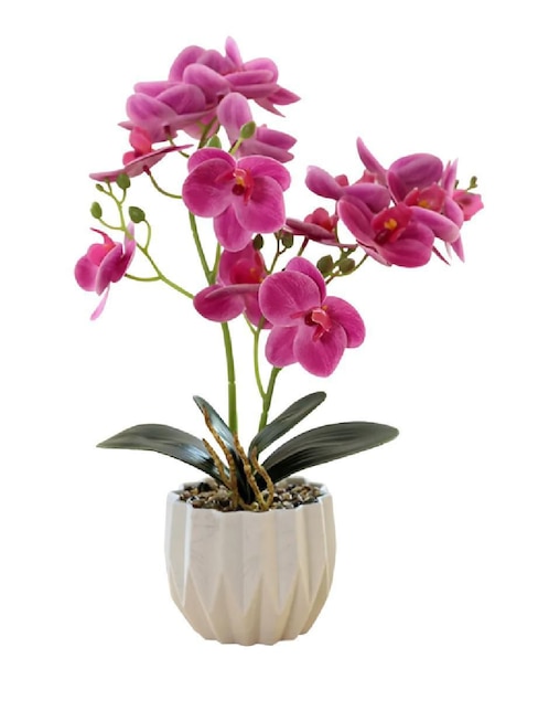 GENERICA Orquídea artificial Güish