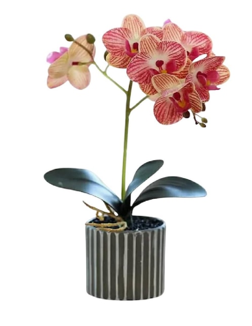 Orquídea artificial Güish