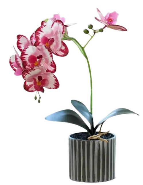 GENERICA Orquídea artificial Güish