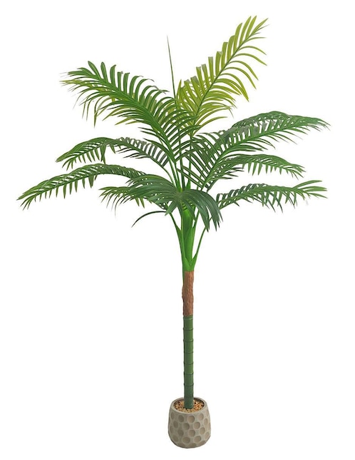 Planta Artego Hawaii Amazona