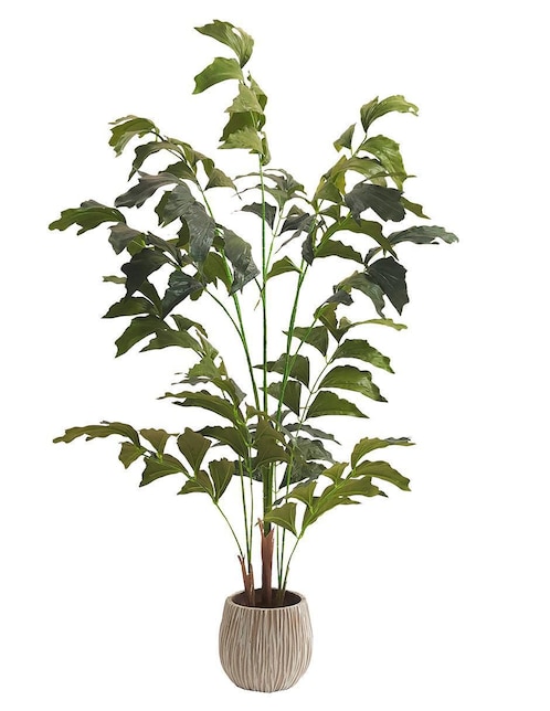 Planta Artego Caryota Fishtail