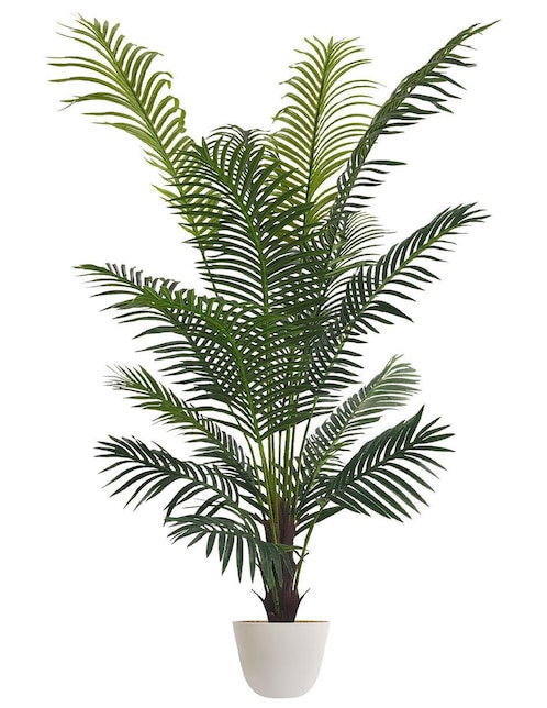 Planta 1