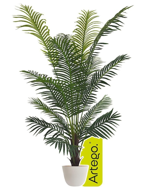 Planta Artego Palm con Maceta