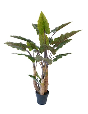 Imagen de producto Árbol Haus