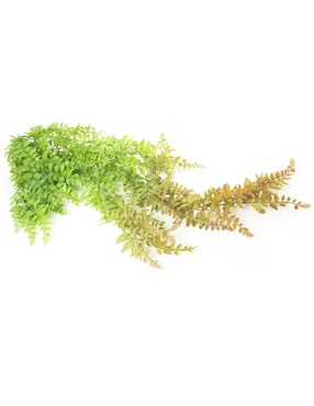 Helecho decorativo Running con acabado natural