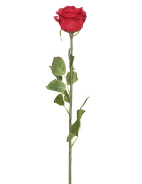 Rosa Haus Neo
