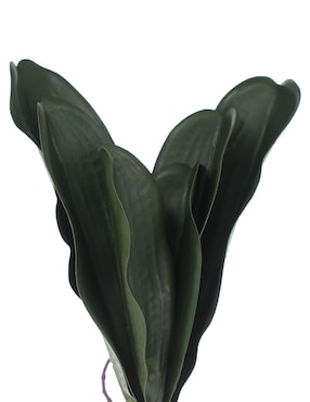 Hojas de orquídea decorativas Crown Baccara Leonora con acabado mate