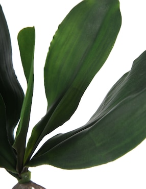 Hojas de orquídea decorativas Crown Baccara Marap con acabado mate
