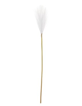 Pampa decorativa Heuman Brand Pinpon