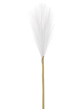 Pampa decorativa Heuman Brand Pinpon
