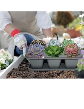 Maceta Smart Garden de plástico