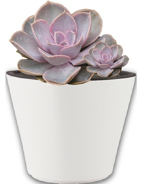 Maceta Smart Garden de plástico