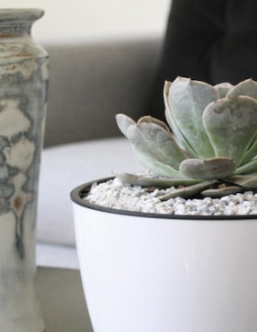 Piedra natural decorativa Smart Garden