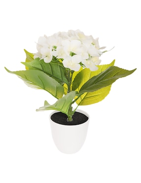 Preelaborado de hortensia Crown