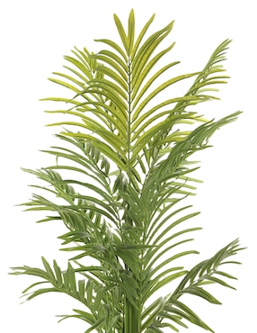 Palmera Haus 135 cm con maceta