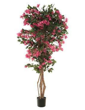 Árbol Bluebell & Co.