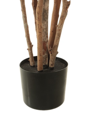 Árbol Bluebell & Co.