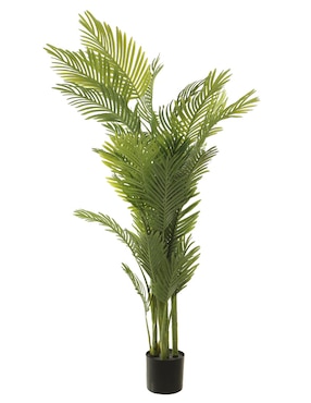 Palmera Haus 155 cm con maceta