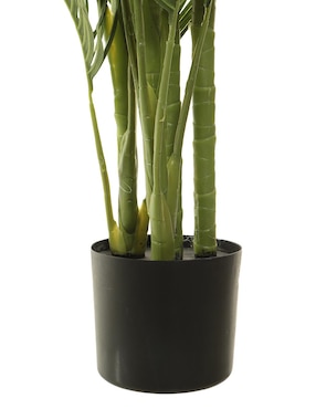 Palmera Haus 155 cm con maceta